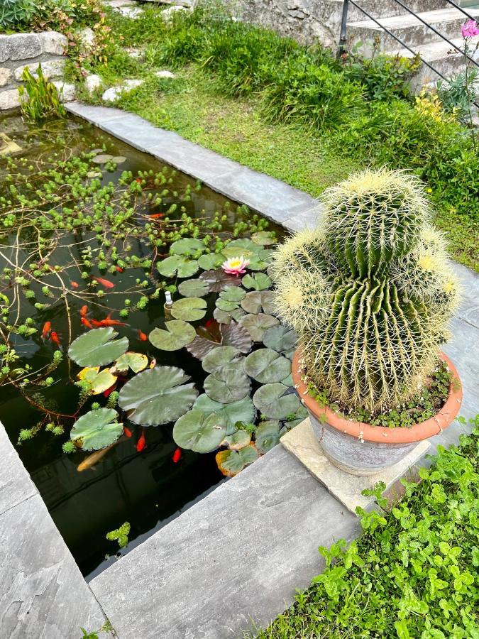 Villa Del Lis Gargnano Esterno foto