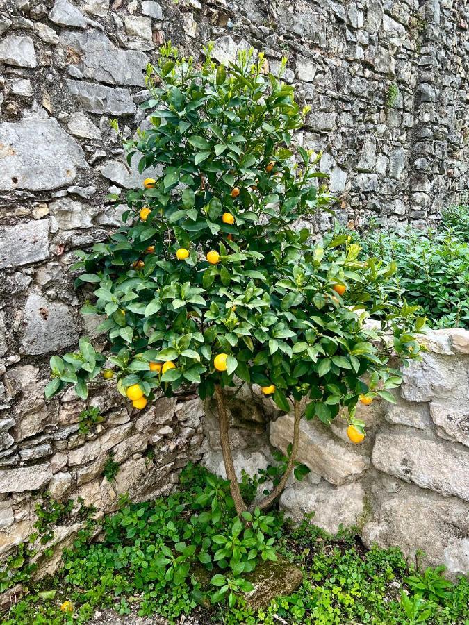 Villa Del Lis Gargnano Esterno foto